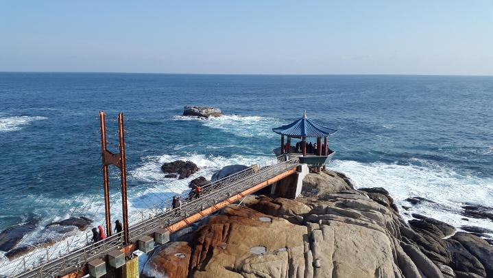 십리 벚꽃길