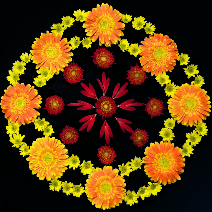 FLOWER CIRCLE